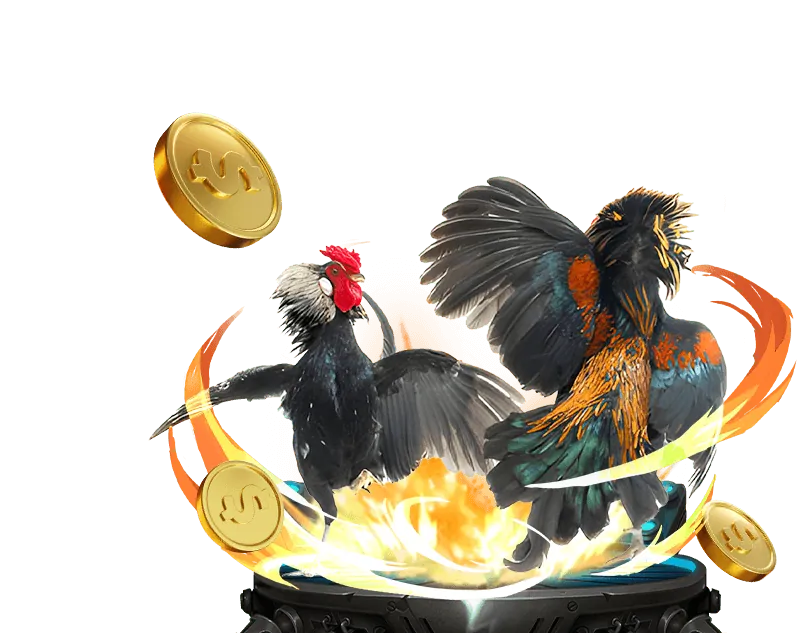 Tổng quan về nền tảng cá cược trực tuyến SP8 Bet